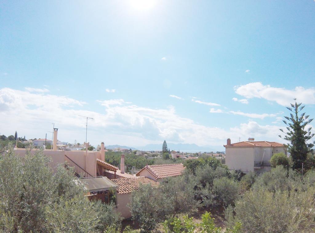 Aegina Arapakis Apartment מראה חיצוני תמונה